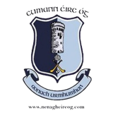 Nenagh Éire Óg